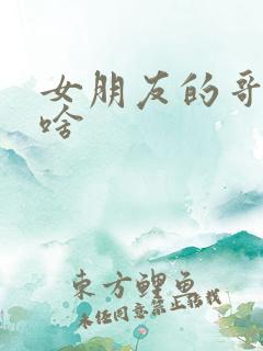 女朋友的哥哥叫啥