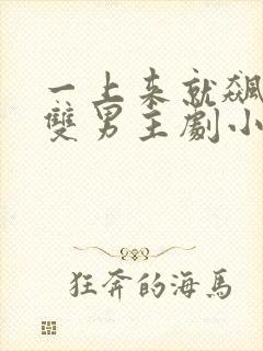 一上来就飙车的双男主剧小说