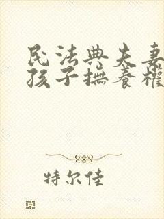 民法典夫妻离婚孩子抚养权怎么判定