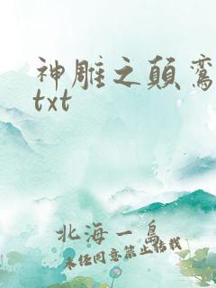神雕之颠鸾倒凤txt
