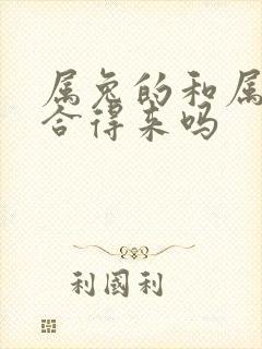 属兔的和属龙的合得来吗