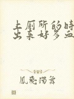 上厕所的时候拉出来好多血