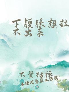 下腹胀想拉屎拉不出来