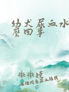 幼犬尿血水是怎么回事