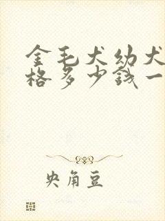 金毛犬幼犬的价格多少钱一只