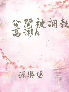 公开被调教当众高潮h