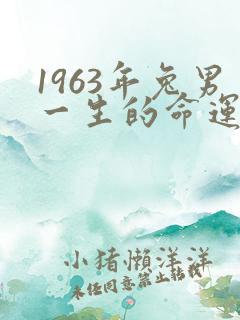 1963年兔男一生的命运详解