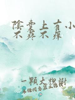 阴囊上有小疙瘩不疼不痒