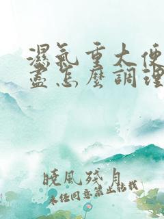 湿气重大便排不尽怎么调理