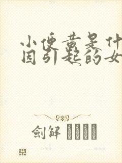 小便黄是什么原因引起的女生