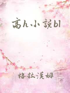 高h小说bl