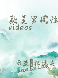 欧美男同性恋 videos