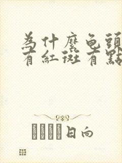 为什么龟头上面有红斑有点痒