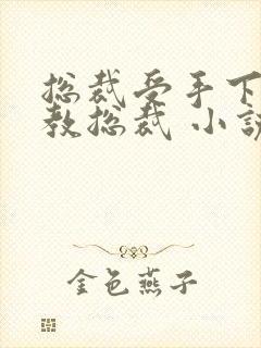 总裁受手下攻调教总裁 小说