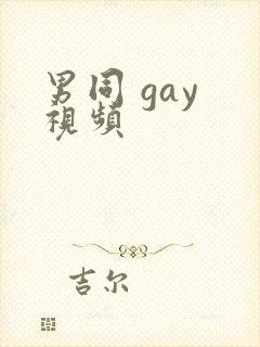 男同 gay 视频