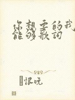 你想要的我却不能够歌词