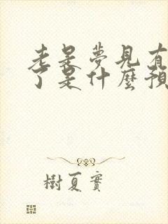 老是梦见有人死了是什么预兆