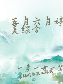 五月六月婷婷欧美综合