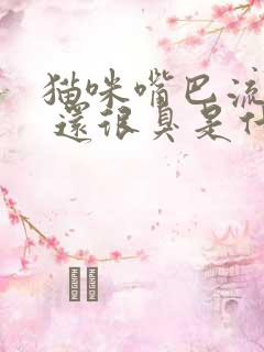 猫咪嘴巴流粘液 还很臭是什么原因