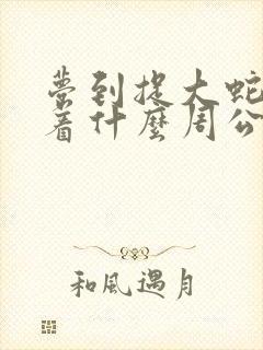 梦到捉大蛇预示着什么周公解梦