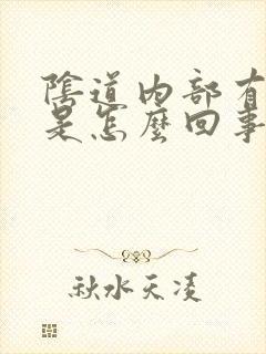 阴道内部有肉球是怎么回事