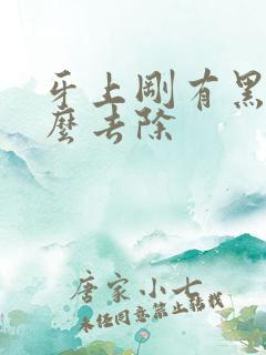 牙上刚有黑渍怎么去除