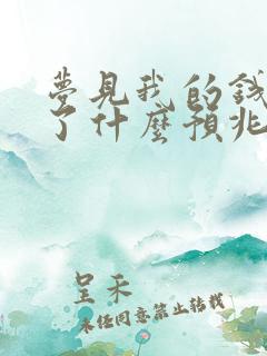 梦见我的钱被偷了什么预兆