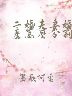 二婚夫妻婚后财产怎么分割