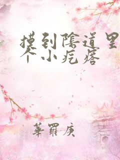 摸到阴道里有一个小疙瘩