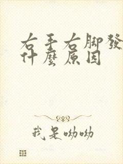 右手右脚发麻是什么原因