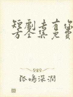 短剧去有你的地方全集免费观看