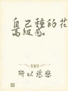 自己种的花文案高级感