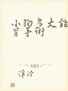 小狗多大能做绝育手术