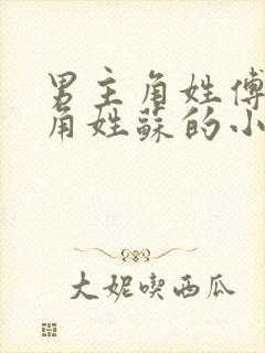 男主角姓傅女主角姓苏的小说