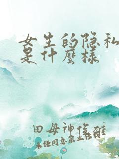 女生的隐私部位是什么样