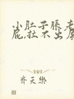 小肚子胀老是放屁,拉不出屎咋回事