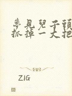 梦见儿子头发一抓掉一大把