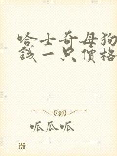 哈士奇母狗多少钱一只价格