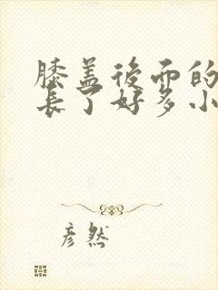 膝盖后面的腿窝长了好多小疙瘩很痒