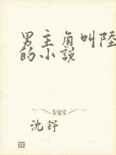 男主角叫陆林深的小说