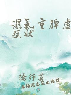 湿气重脾虚表现症状