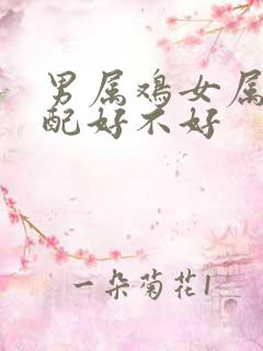 男属鸡女属羊婚配好不好