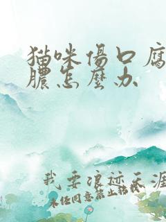 猫咪伤口腐烂化脓怎么办