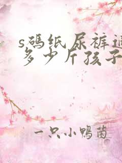 s码纸尿裤适合多少斤孩子穿