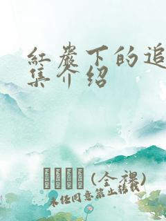 红岩下的追捕分集介绍