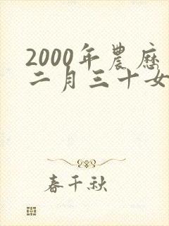 2000年农历二月三十女子命运