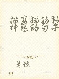 描写猫的动作和神态的句子