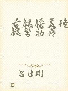 右腿膝盖后面的腿弯筋疼