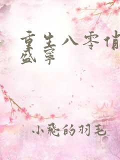 重生八零俏佳媳盛宁