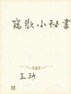 窃欢小秘书
